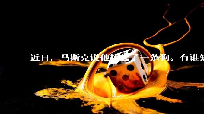 近日，马斯克说他捧起了一条狗。有谁知道这条狗指的是谁？